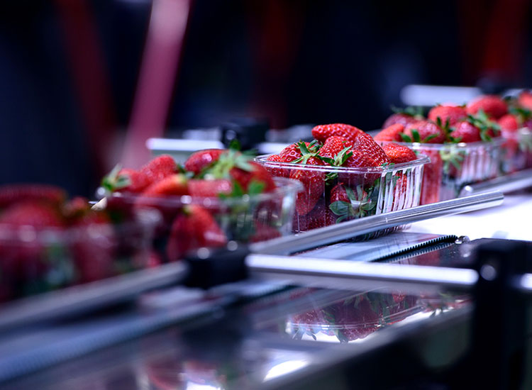 食品包装行业的制氮机应用