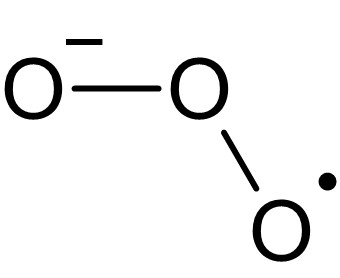 臭氧行业制氧机的应用
